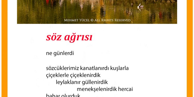 söz ağrısı