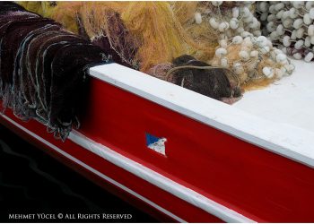 Avlanmaya hazırım…