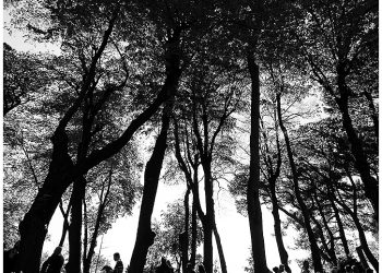 Hıdiv Kasrı’nda hafta sonu…