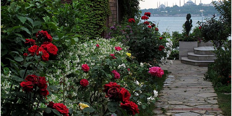 Salacak’tan…